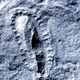 Illustration for article titled Fossils give hope that life can flourish on surprisingly primitive planets